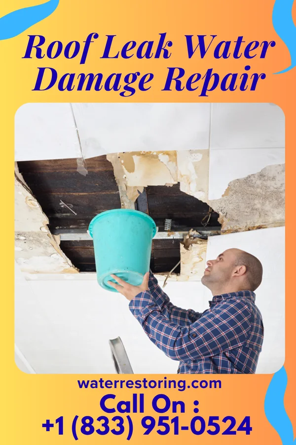 Roof Leak Water Damage Repair in Nevada City, CA